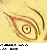Fragment (Eye)